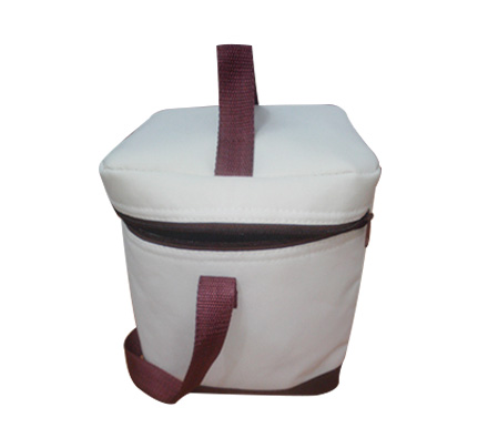 Canvas cooler bag