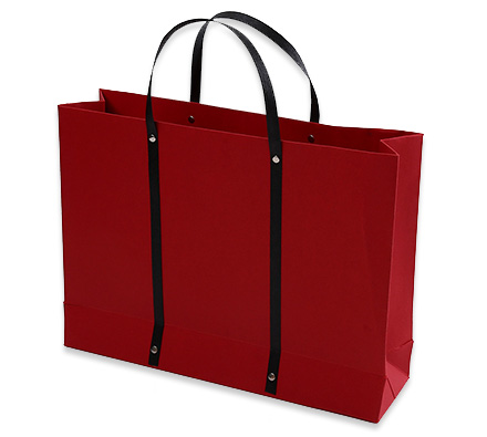 Extended handle paper bag