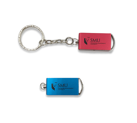 Mini swivel drive 03