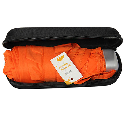 Foldable umbrella with box