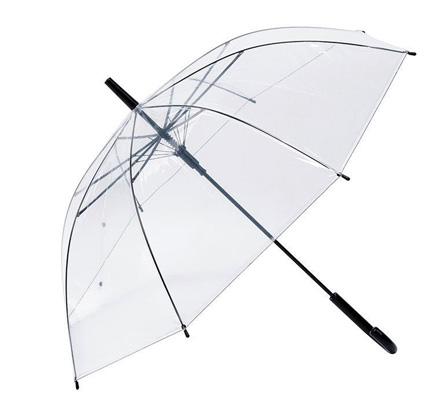 Transparent umbrella